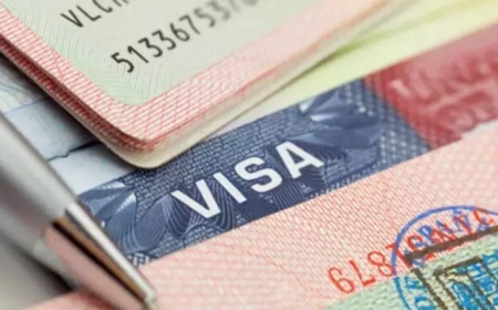 Türkiye’de Vize Randevu Krizi: Şikayetler Mart Ayında Zirve Yaptı