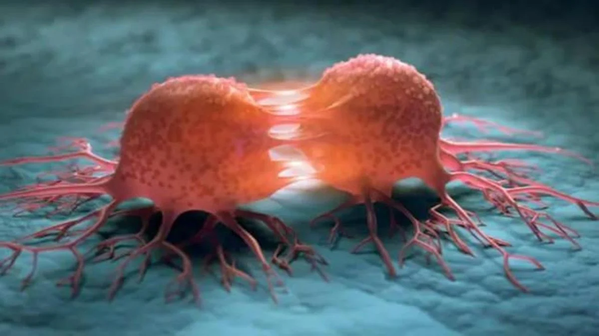 Türkiye’nin Bor Madeni Kanser Tedavisinde Devrim Yaratıyor: Hücreleri Yok Ediyor!