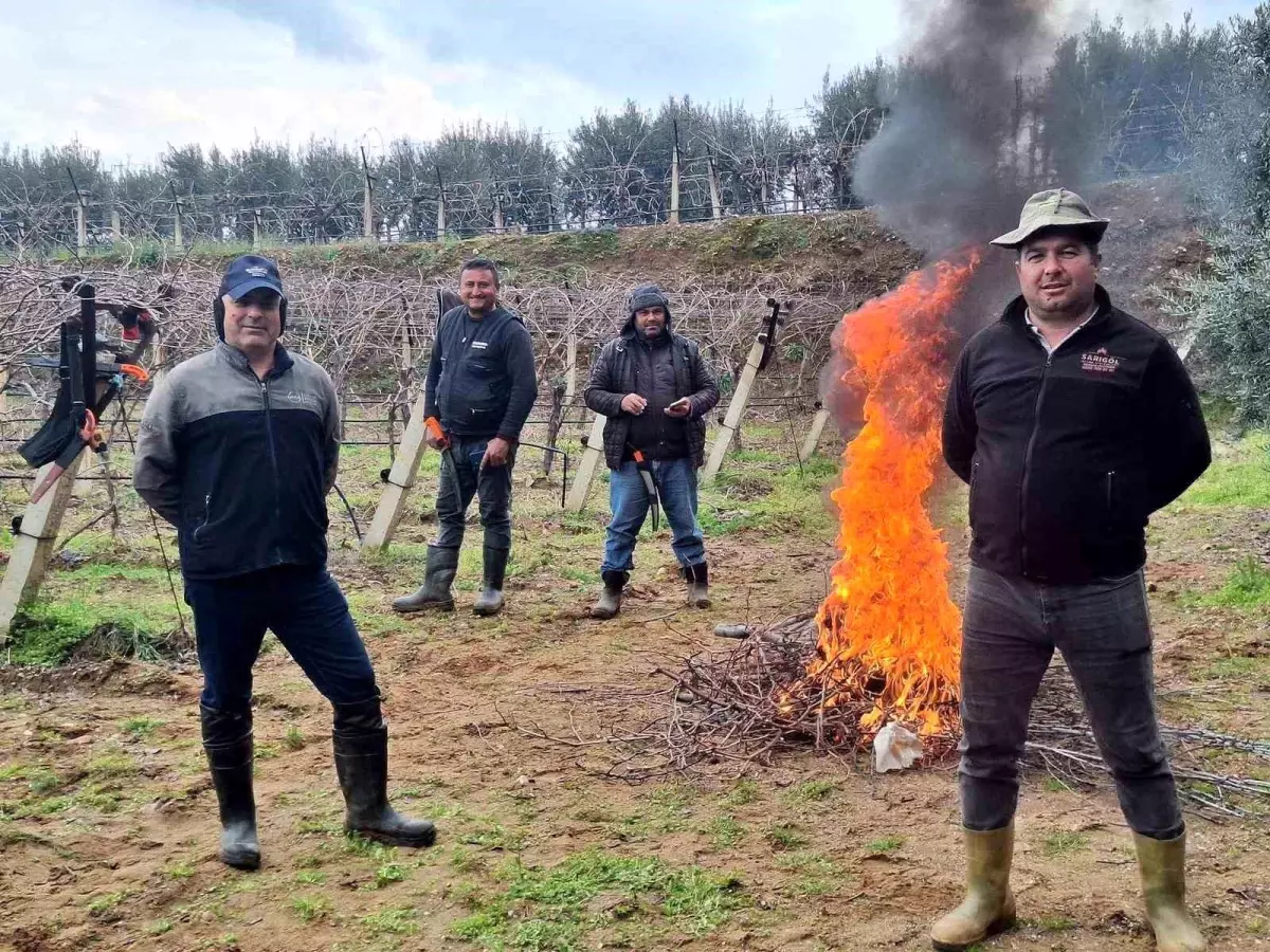 uzum-baglarinda-zorlu-budak-mesaisi-19592084_amp