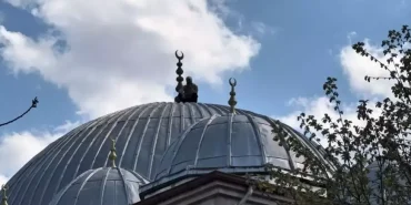 69db3e03031f146bf8ce137a