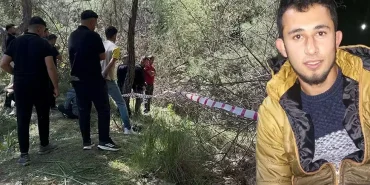 69db72ca67203389c5c38072