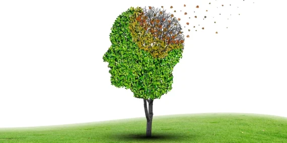 uzun-suredir-tartisilan-yalnizlik-ve-demans-iliskisi-yeni-verilerle-yeniden-degerlendirilmeye-baslandi-vnbc